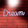 Neonowa lampa ścienna LED napis Dream [23120000816]